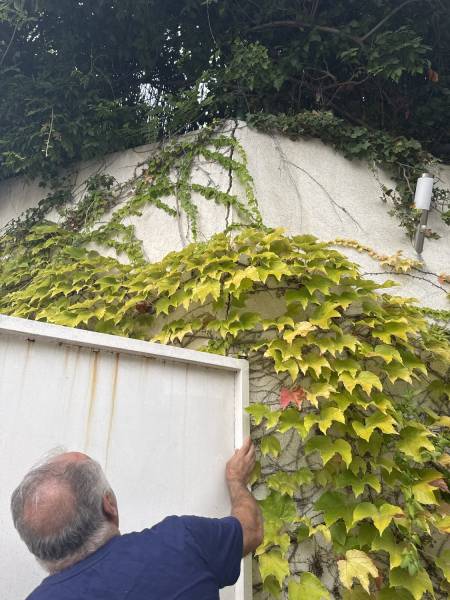 Fissure sur angle de mur avec portail métallique 
